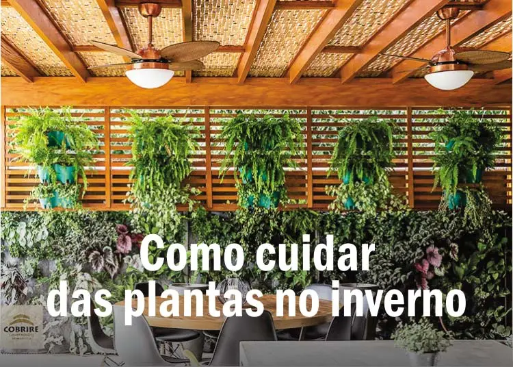 Como cuidar das plantas no inverno