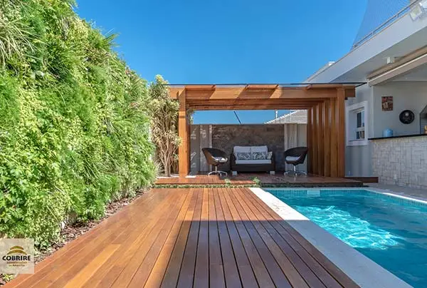 plantas no inverno